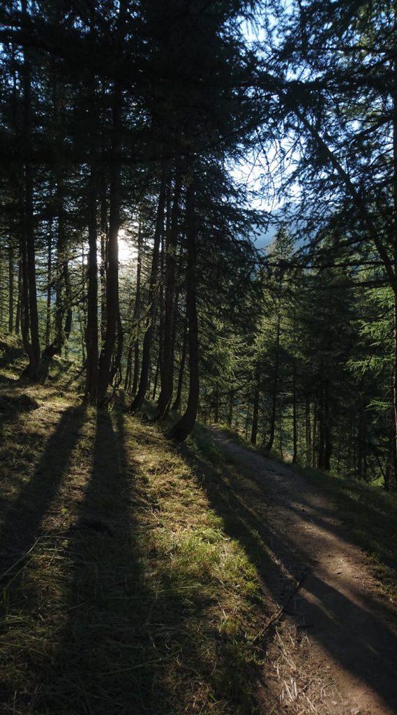 bosco_ubac